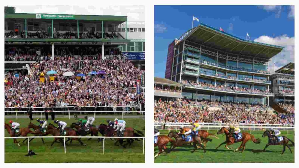 newcastle and york racecourse
