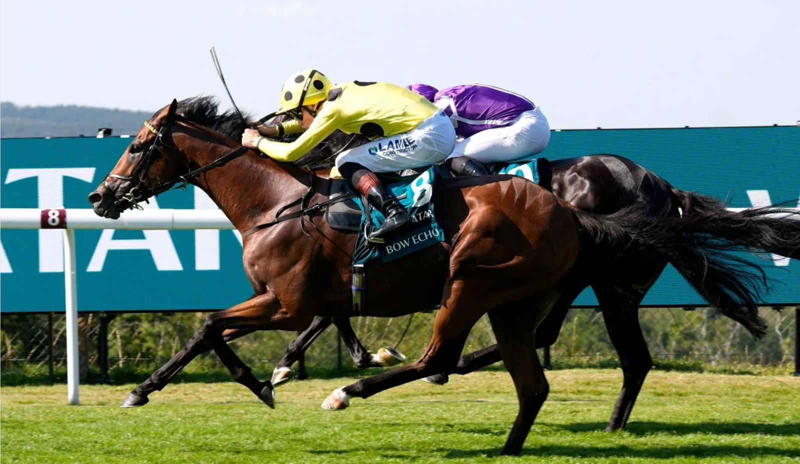 Frankel’s dominance over Bow Echo in mile ratings