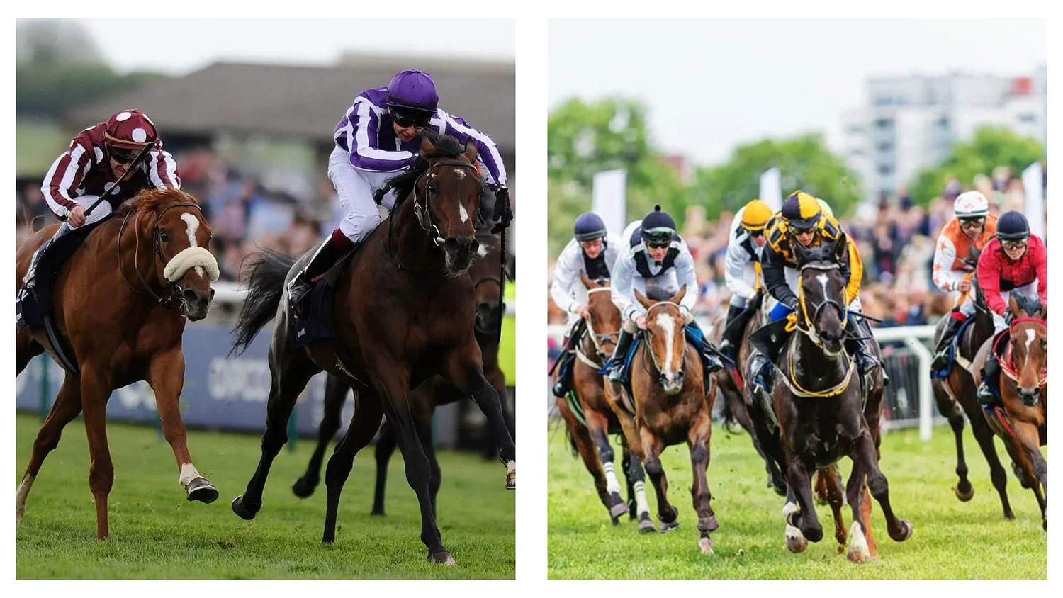 Horse Racing Betting Strategies: Tips for Better Bets